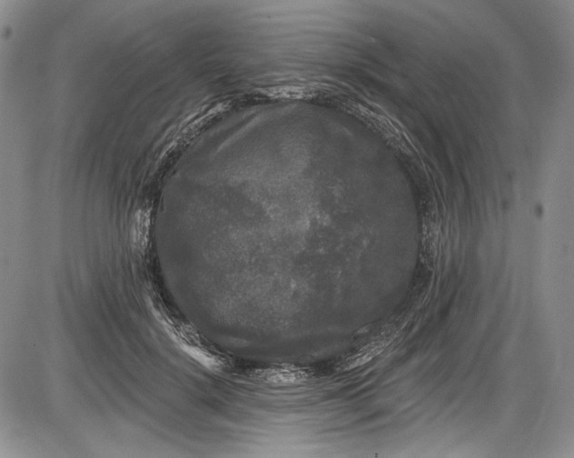 X0000085760652200703301429