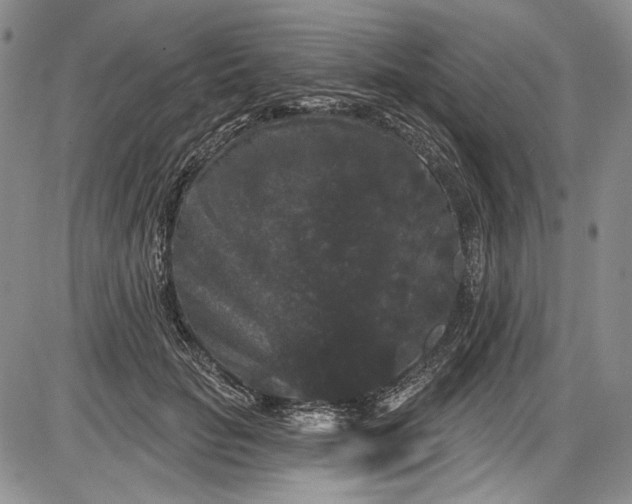 X0000085760653200703301429