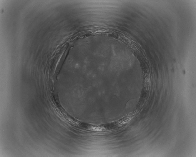 X0000085760654200703301429