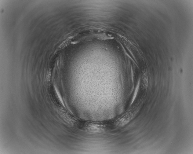 X0000085760657200703301429