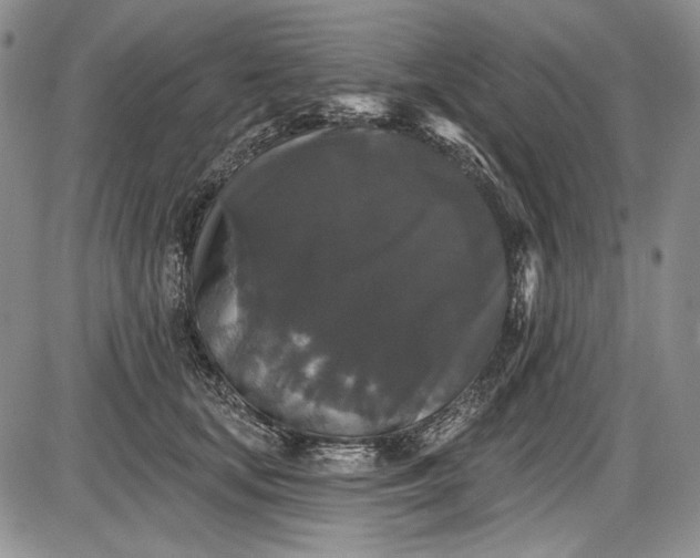 X0000085760659200703301429