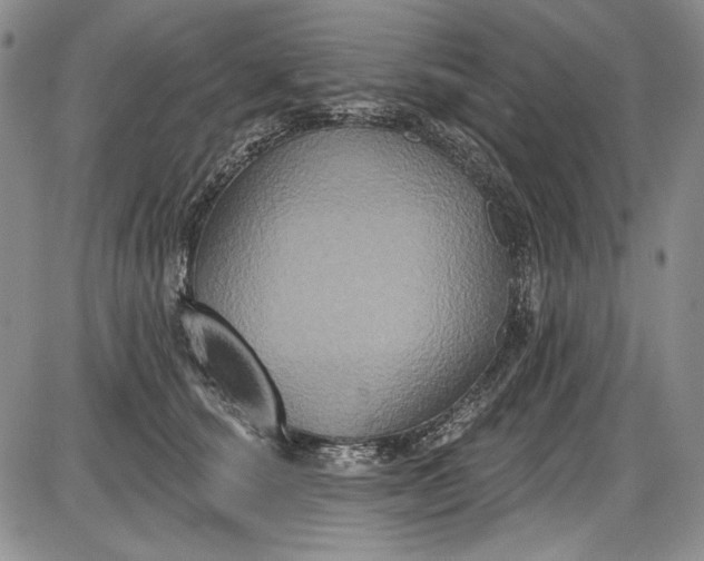 X0000085760660200703301429