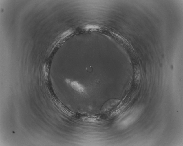 X0000085760661200703301429