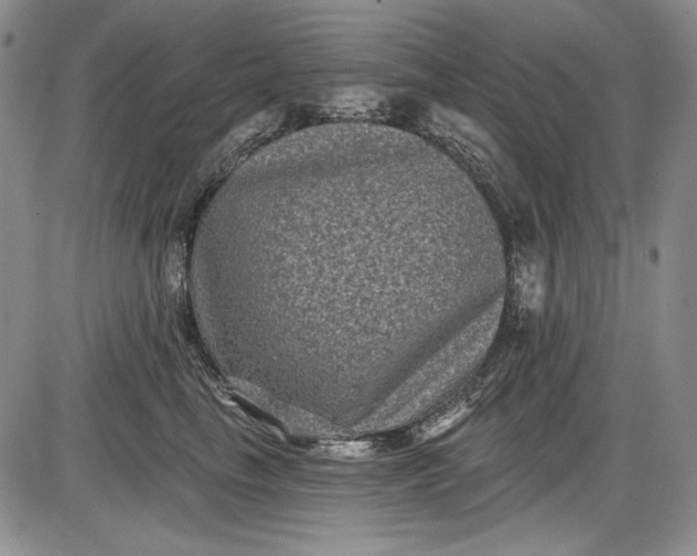 X0000085760665200703301429