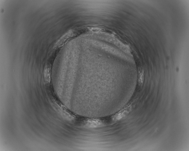 X0000085760666200703301429