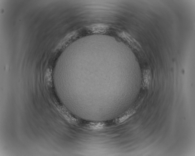 X0000085760667200703301429