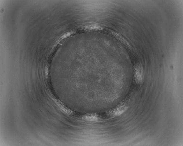 X0000085760668200703301429