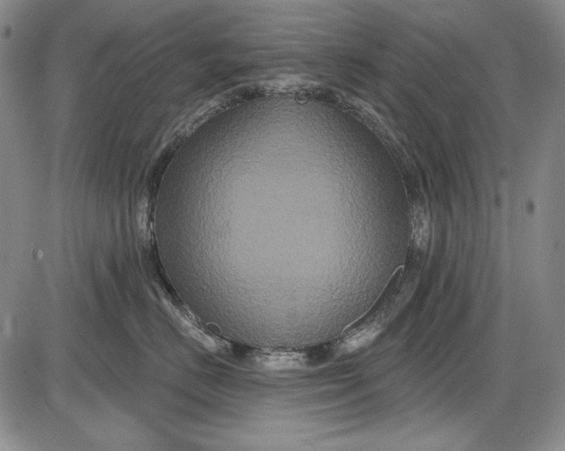 X0000085760670200703301429
