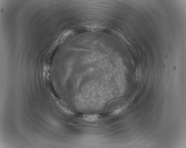 X0000085760671200703301429