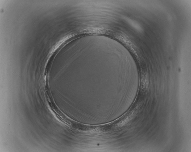 X0000085760674200703301429