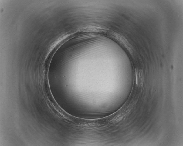 X0000085760675200703301429