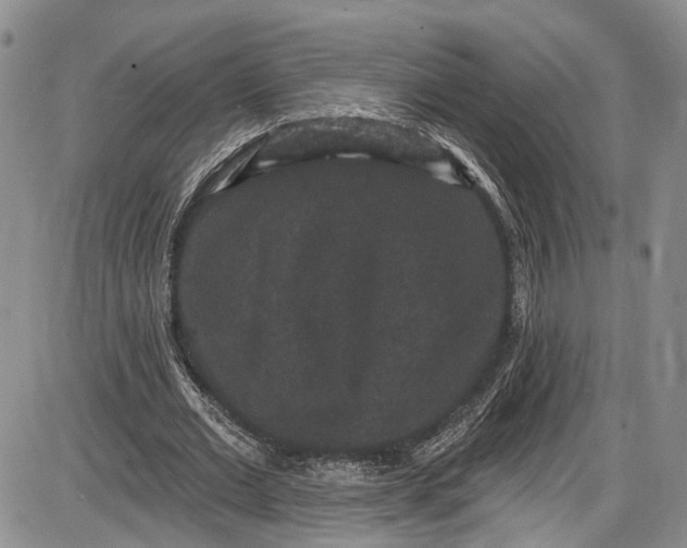 X0000085760677200703301429