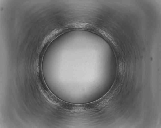 X0000085760682200703301428