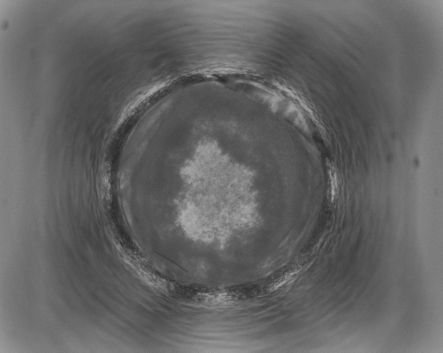 X0000085760688200703301428
