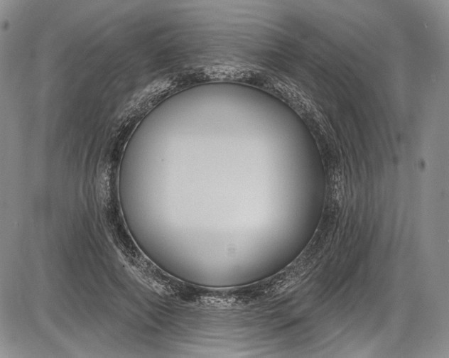 X0000085760690200703301428