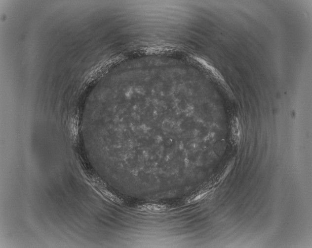 X0000085760691200703301428