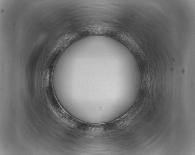 X0000085760694200703301428