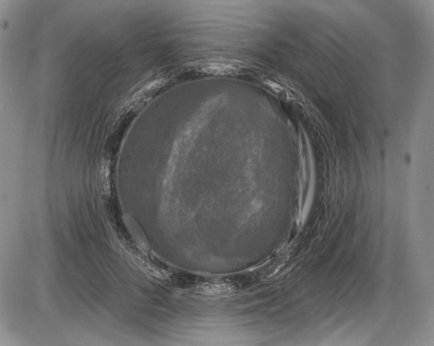X0000085760696200703301428