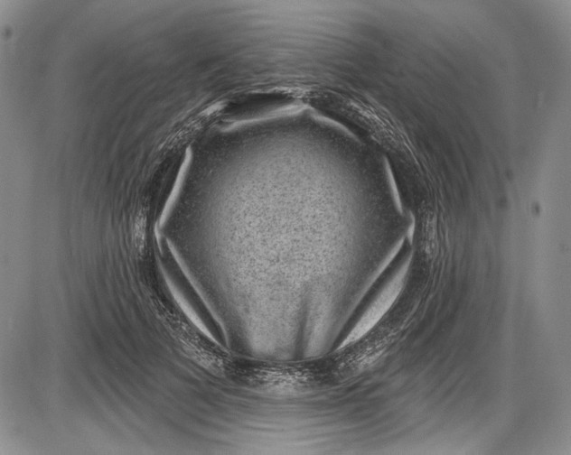X0000085760697200703301428