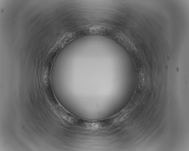X0000085760698200703301428