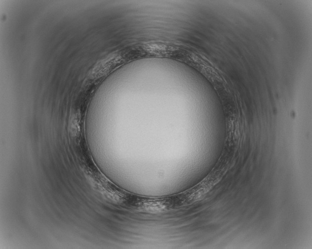 X0000085760702200703301428