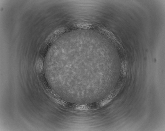 X0000085760705200703301428