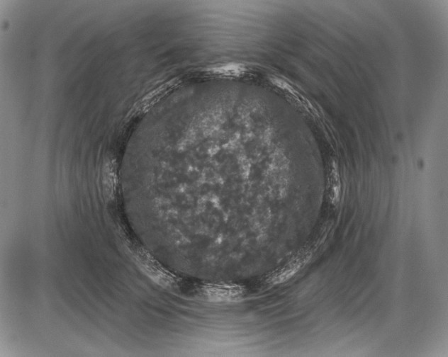 X0000085760707200703301428