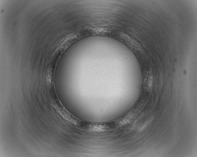 X0000085760710200703301428