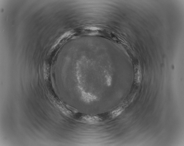 X0000085760712200703301428