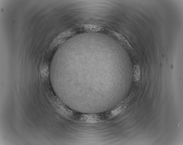 X0000085760713200703301428