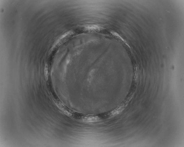 X0000085760716200703301428