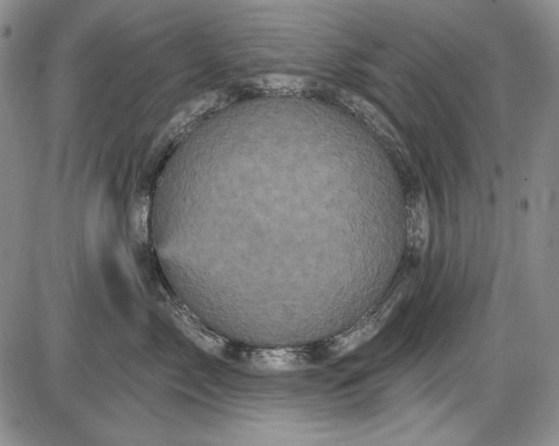 X0000085760717200703301428