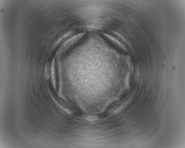 X0000085760719200703301428