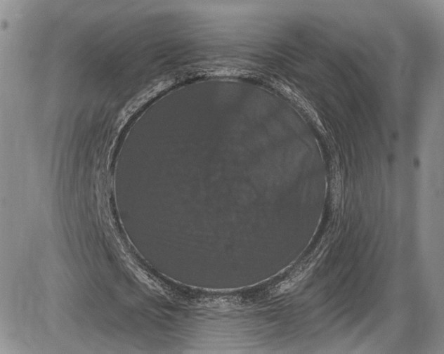 X0000085760721200703301427