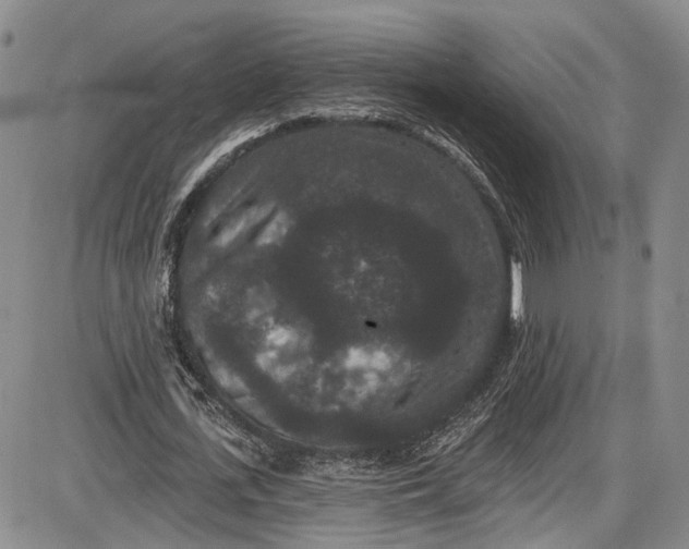 X0000085760723200703301427