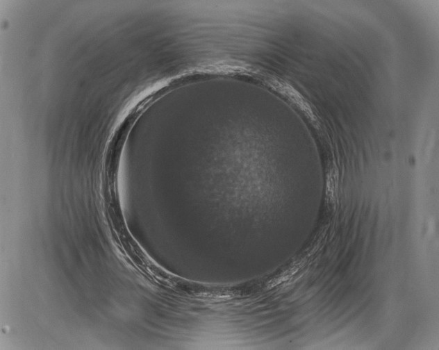 X0000085760724200703301427