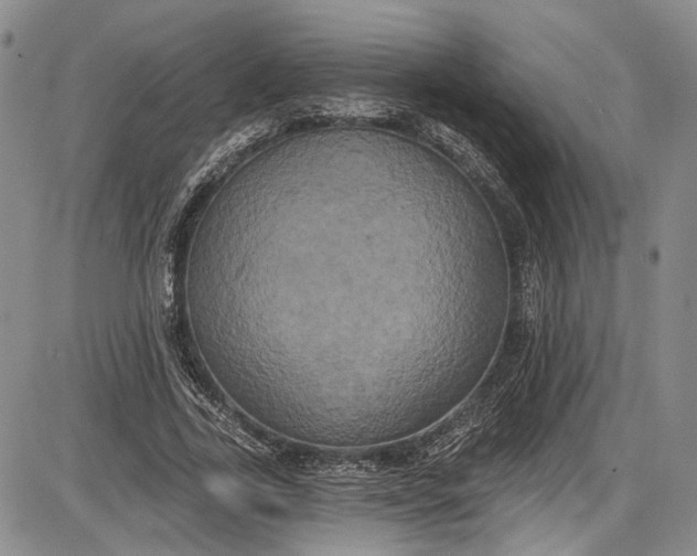 X0000085760731200703301427
