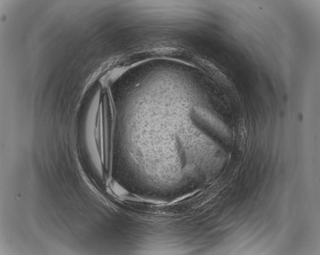 X0000085760734200703301427