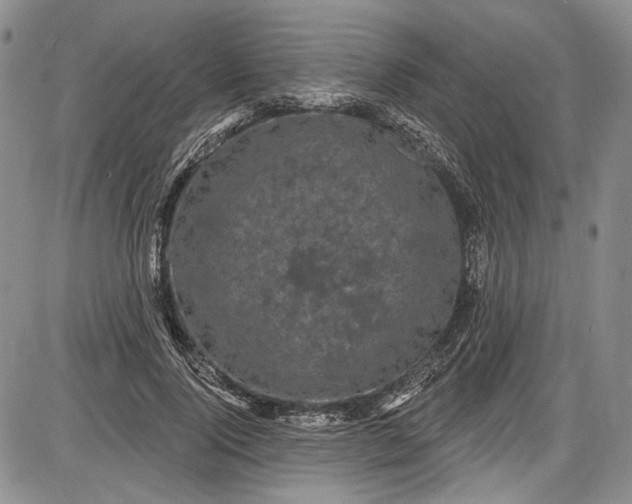 X0000085760740200703301427