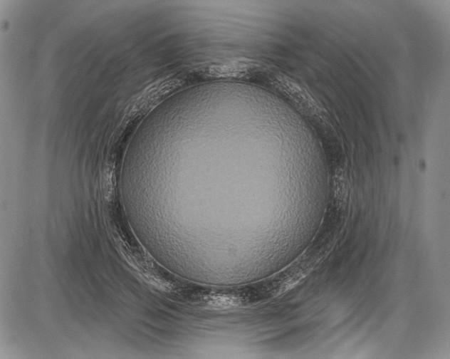 X0000085760741200703301427