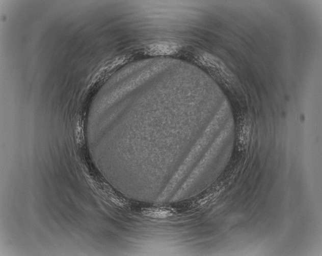 X0000085760743200703301427