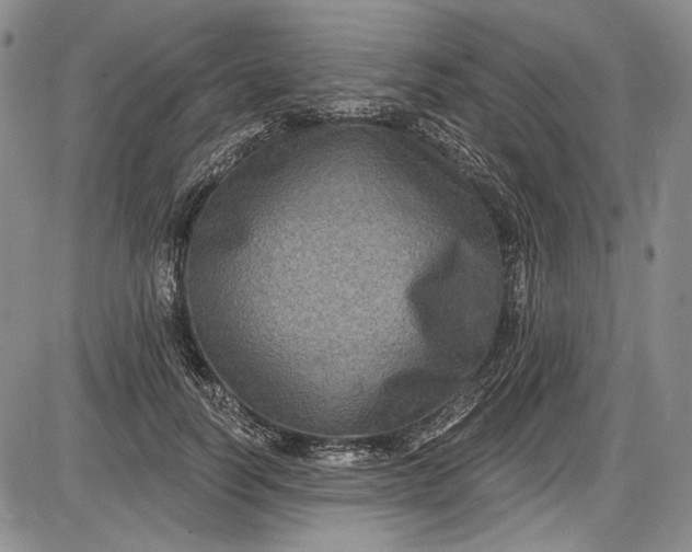X0000085760746200703301427