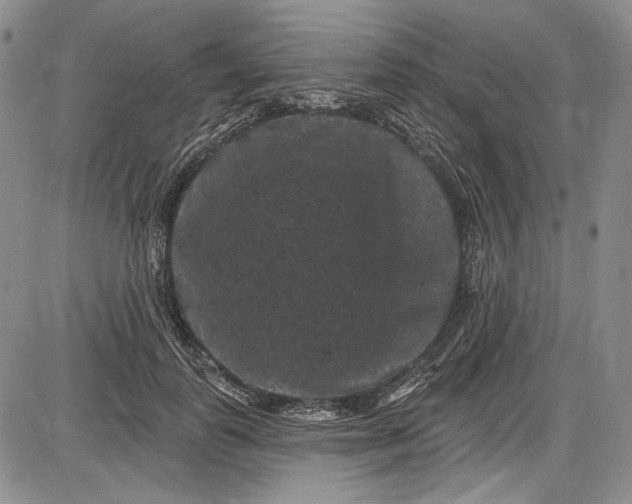 X0000085760747200703301427