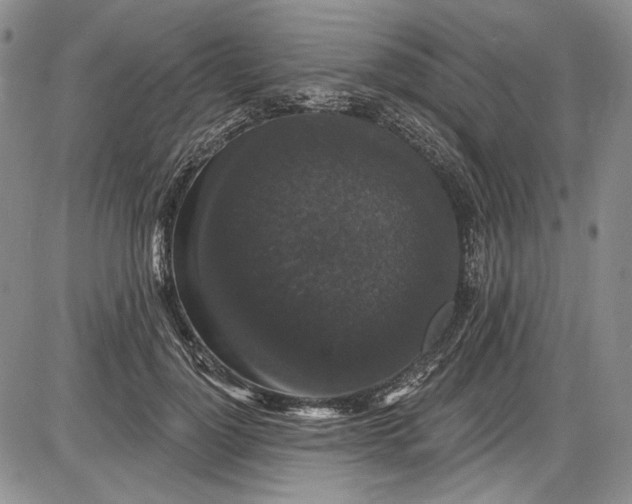 X0000085760748200703301427