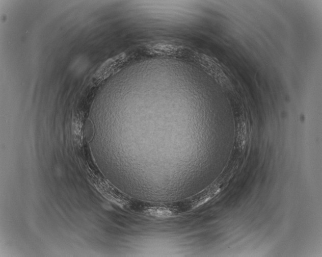 X0000085760749200703301427