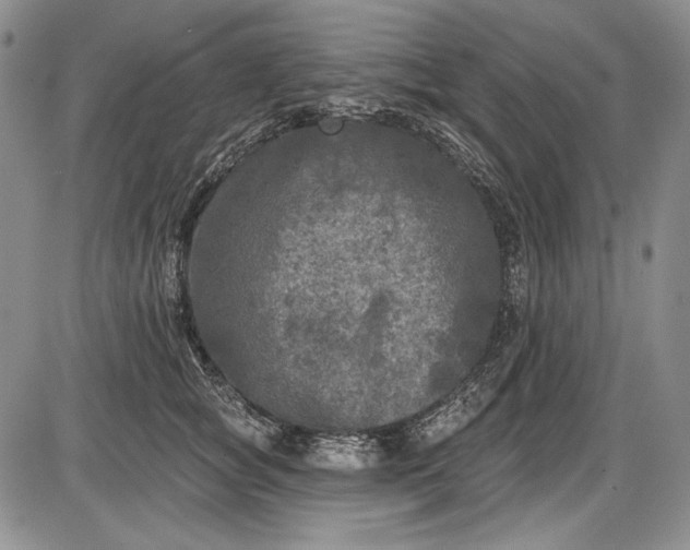 X0000085760757200703301428