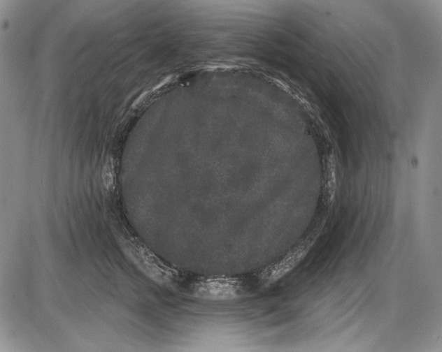 X0000085760758200703301428