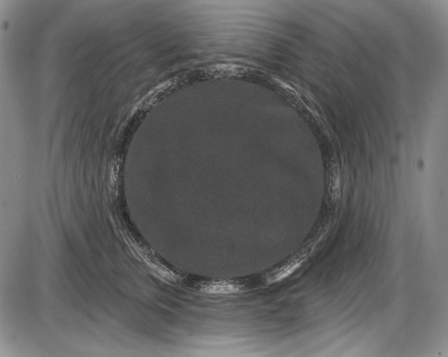 X0000085760759200703301428