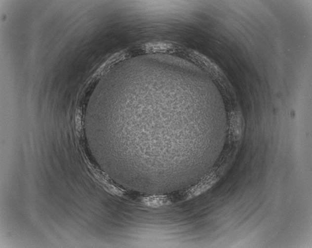 X0000085760761200703301428