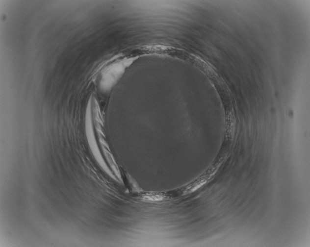 X0000085760762200703301428